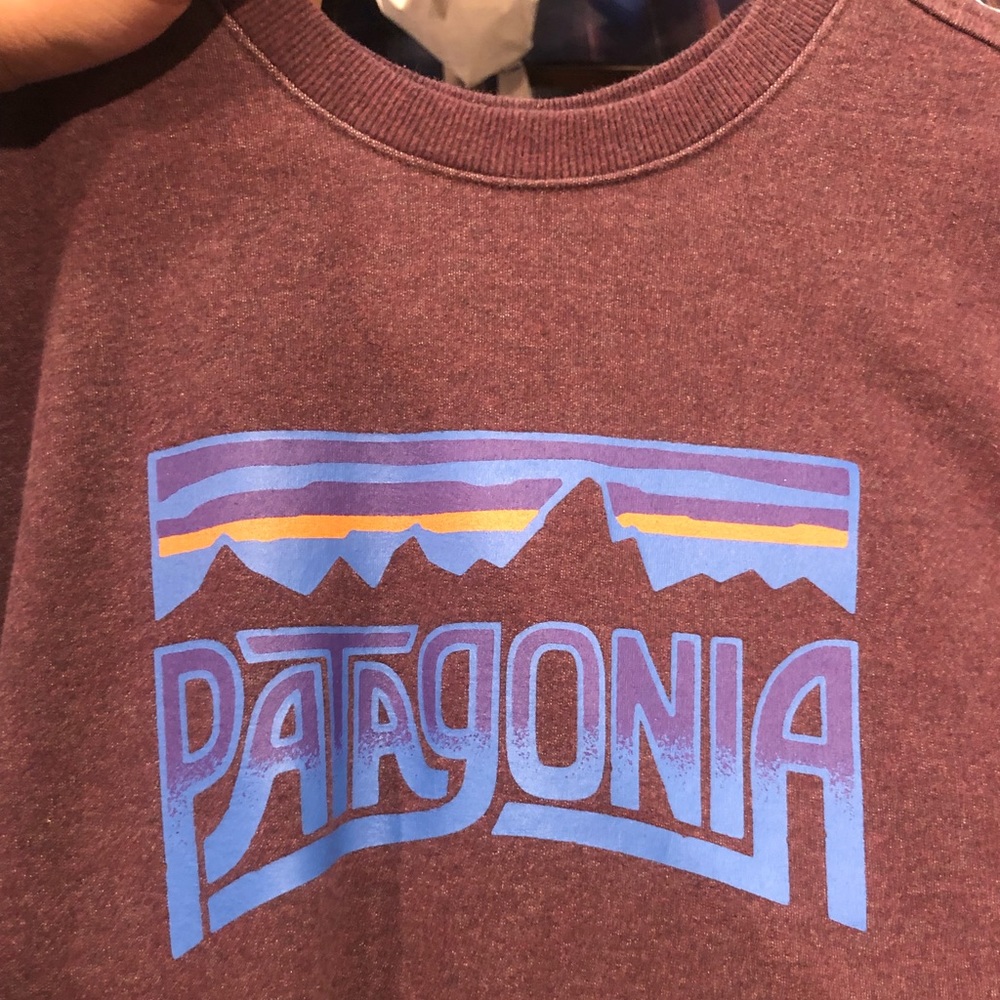 Patagonia Sweatshirt